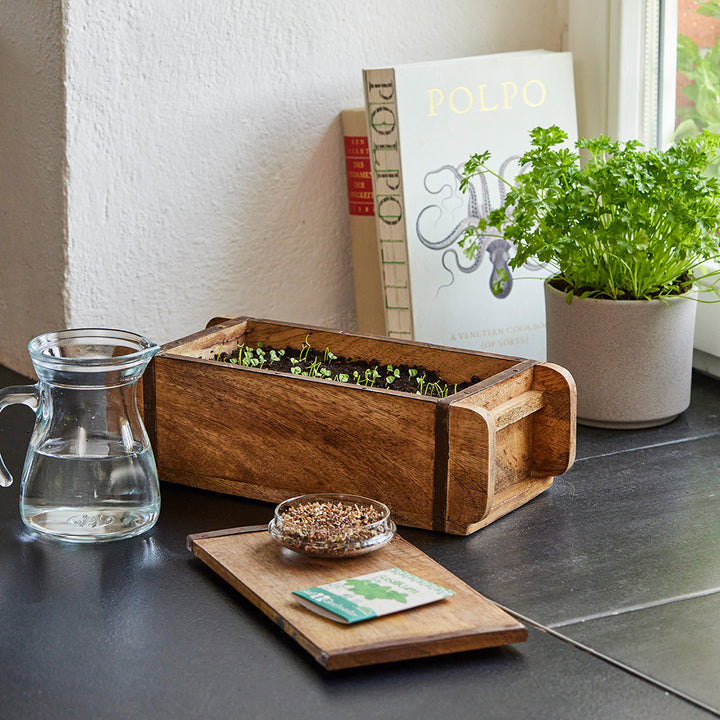 Ziegelform mit Keimlingen und Erde