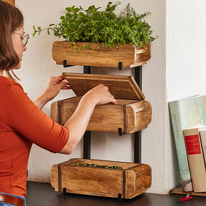 Frau stellt Holzkisten mit Kräutern an eine Wandhalterung, daneben stehen Bücher.