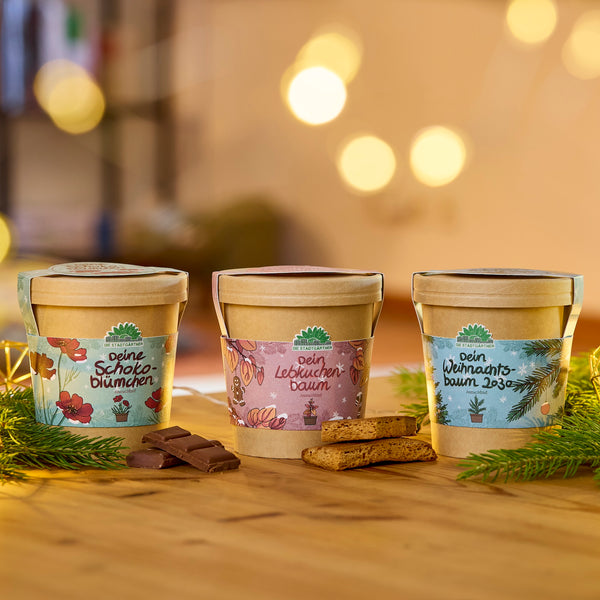 Drei dekorative Pflanztöpfe mit den Aufschriften „Dein Schokoblümchen“, „Dein Lebkuchenbaum“ und „Dein Weihnachtsbaum 2023“ stehen auf einem Holztisch, umgeben von Tannenzweigen, Schokoladenstücken und Lebkuchen, im Hintergrund warme, unscharfe Lichter.