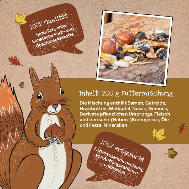 Illustration eines Eichhörnchens mit einer Mischung aus Samen, Nüssen und Getreide, umgeben von herbstlichen Blättern und Textfeldern zur Qualität und Zusammensetzung von 200g Futtermischung.