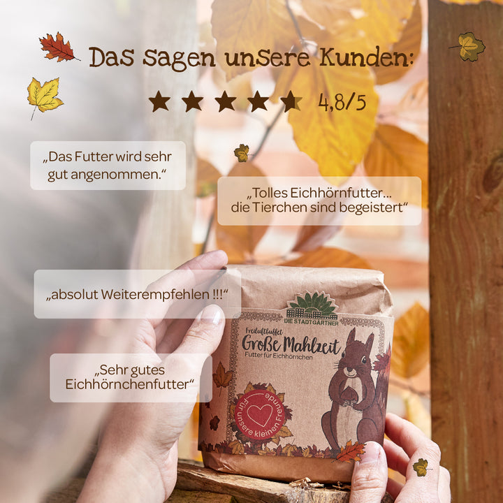 Person hält eine Packung "Große Mahlzeit" Eichhörnchenfutter vor herbstlichen Blättern, umgeben von Kundenbewertungen und einer Bewertung von 4,8 von 5 Sternen.