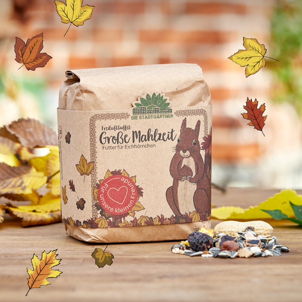Braune Papiertüte mit Eichhörnchen-Illustration und der Aufschrift "Große Mahlzeit – Futter für Eichhörnchen" von Die Stadtgärtner, umgeben von Herbstlaub und Nüssen auf einem Holztisch.