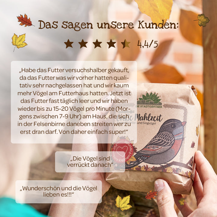 Kundenzitate und Bewertungen für Vogelfutter (4,4/5 Sterne) mit herbstlicher Dekoration; im Vordergrund eine Person hält eine Vogelfutter-Verpackung mit Vogelillustration.