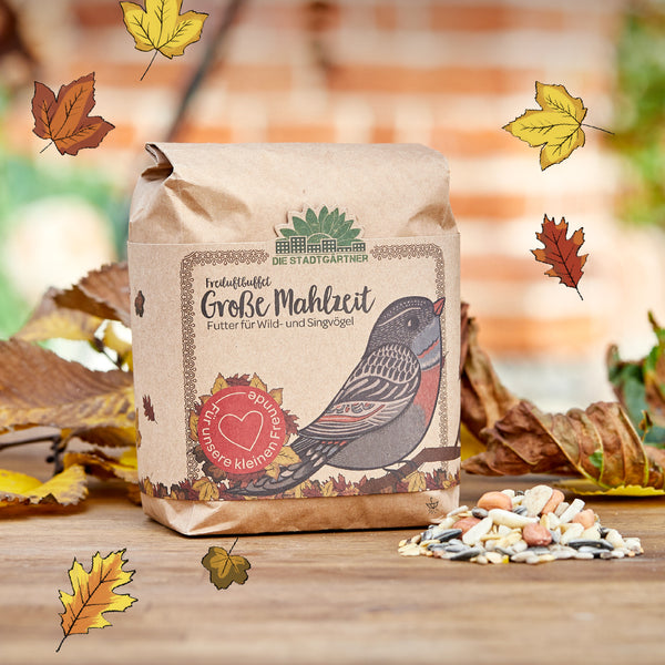 Papiertüte mit Vogelfutter für Wild- und Singvögel, dekoriert mit einer Illustration eines Vogels und bunten Herbstblättern, im Hintergrund unscharfe Natur und Backsteinmauer.
