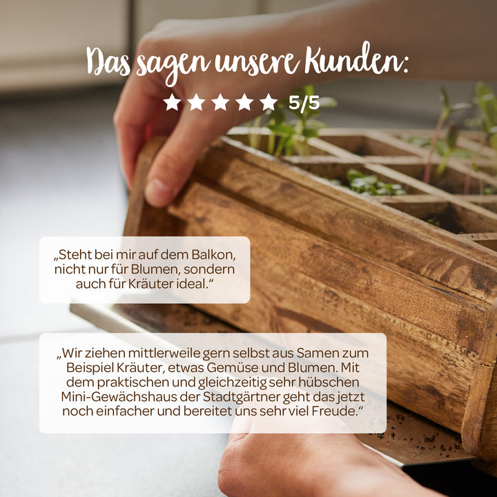 Nahaufnahme von Händen, die ein hölzernes Mini-Gewächshaus mit jungen Pflänzchen auf einem Tisch halten; darüber sind Kundenrezensionen und eine 5-Sterne-Bewertung auf Deutsch eingeblendet.