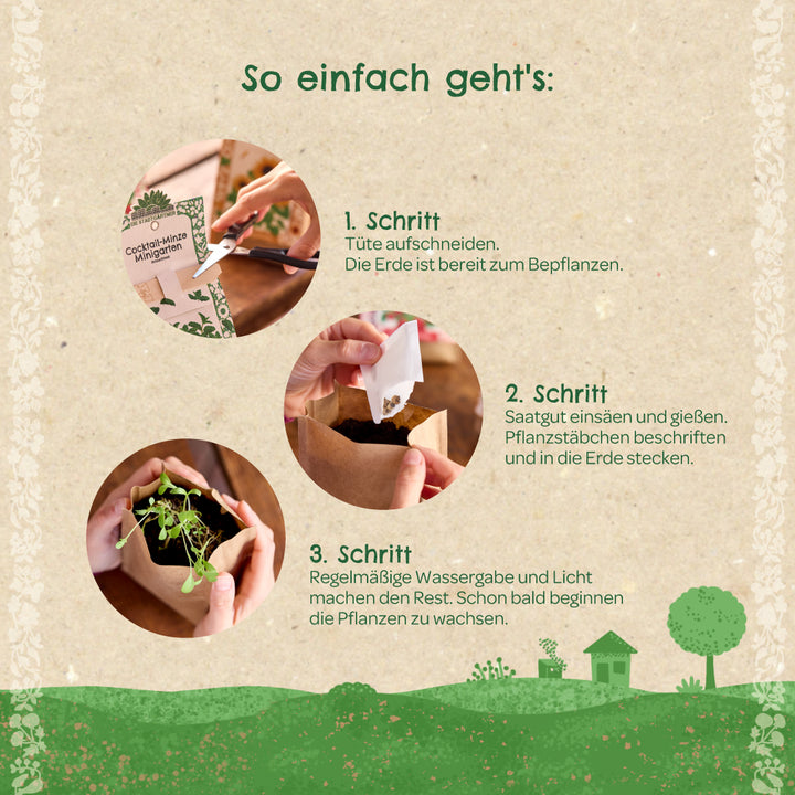 Anleitung zum Pflanzen eines Minigartens mit drei Schritten und Bildern: Tüte aufschneiden, Saatgut einsäen und gießen, Pflanze wächst.