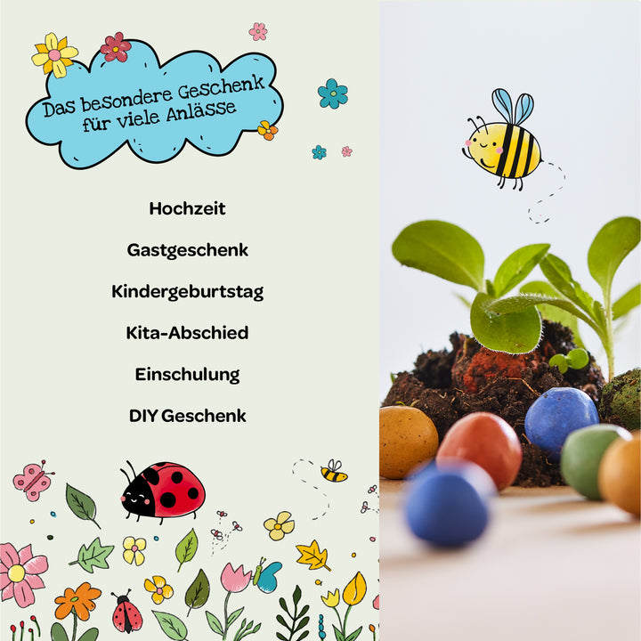 Bunte, illustrierte Infografik mit Text: "Das besondere Geschenk für viele Anlässe" und Anlässen wie Hochzeit, Gastgeschenk, Kindergeburtstag, Kita-Abschied, Einschulung und DIY Geschenk; daneben eine Pflanze, Naturmaterialien, Samenkugeln und gezeichnete Biene.