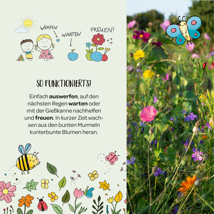 Anwendung der Blumenmurmeln