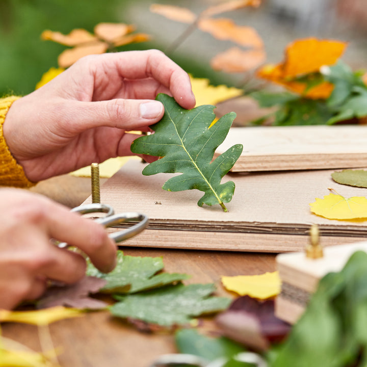 Hände legen ein grünes Blatt auf eine Holzpresse, umgeben von bunten Herbstblättern.