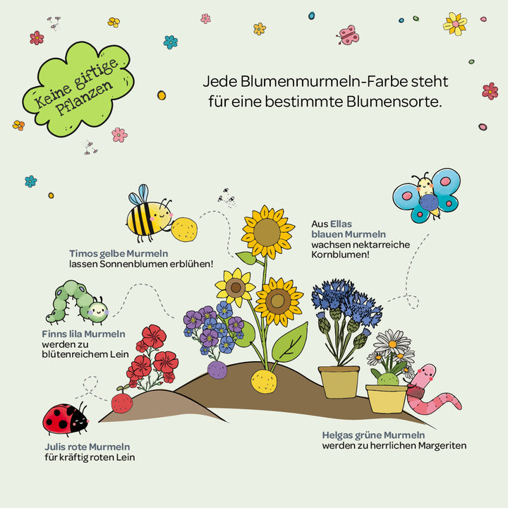 Jede Blumenmurmeln-Farbe steht für eine bestimmte Blumensorte