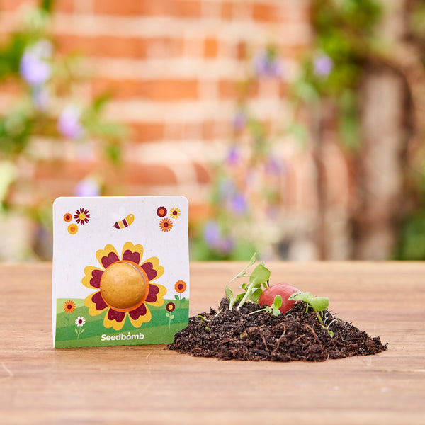 Grote bloemenknikker in een 1-delige verpakking.
