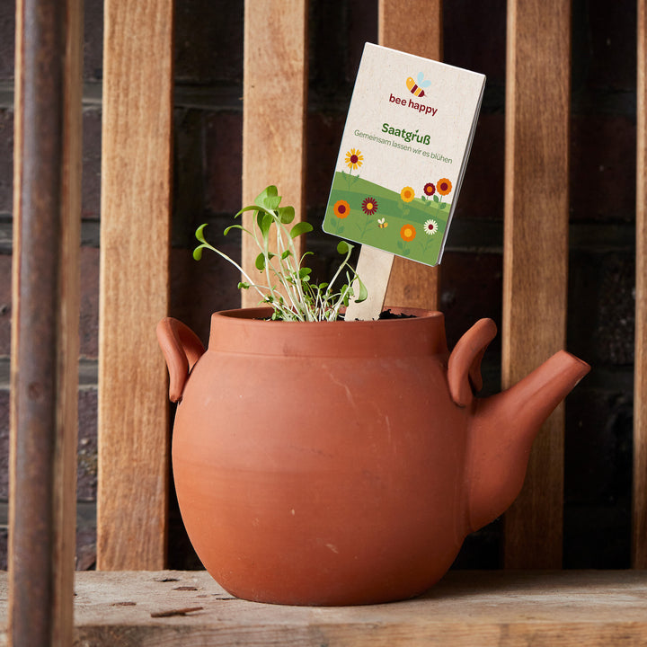 Eine braune Teekanne aus Ton dient als Blumentopf, aus dem junge Pflanzen wachsen; ein Schild mit der Aufschrift "bee happy Saatgruß" steckt in der Erde.