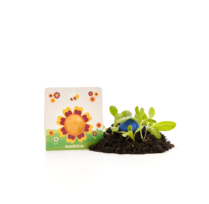 Eine Seedbomb-Verpackung mit buntem Blumenmotiv steht neben Erde und jungen grünen Pflänzchen.