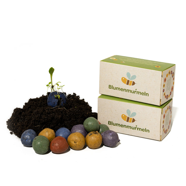 Bunte Blumenmurmeln vor zwei Kartons mit Erde, aus der eine Pflanze wächst.
