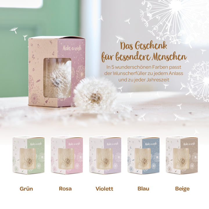 Fünf Geschenkboxen mit Pusteblumen in verschiedenen Farben (Grün, Rosa, Violett, Blau, Beige) als dekorative Wunsch-Erfüller, präsentiert auf einem Tisch, daneben der Text "Das Geschenk für besondere Menschen".