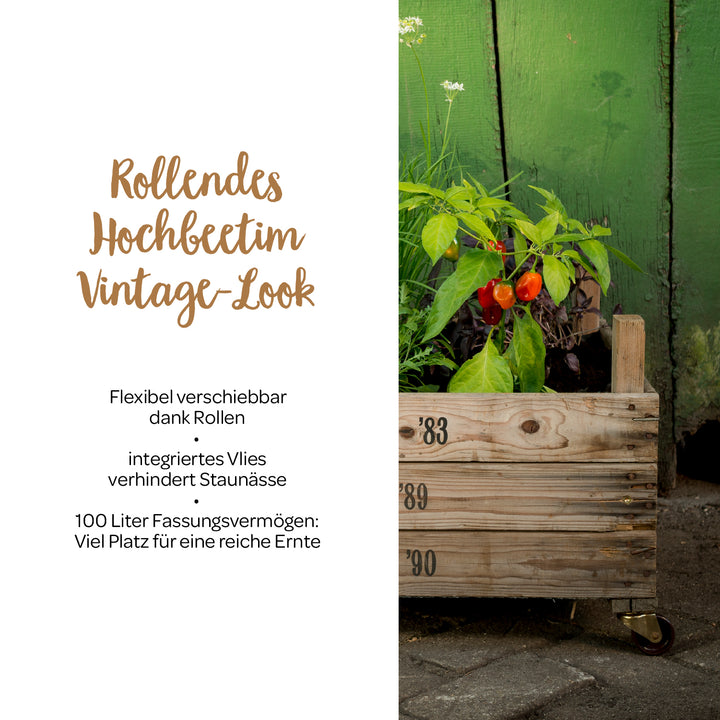 Holzkiste mit Pflanzen als rollendes Hochbeet im Vintage-Look vor grüner Holzwand, daneben Text mit Produktbeschreibung.