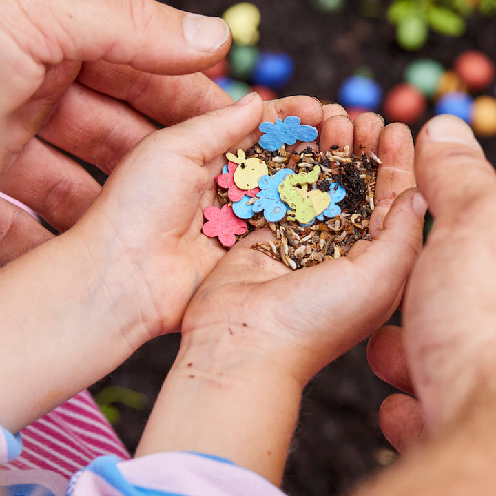 Zwei Hände halten bunte Samen- und Blumenkonfetti zum Pflanzen im Garten.