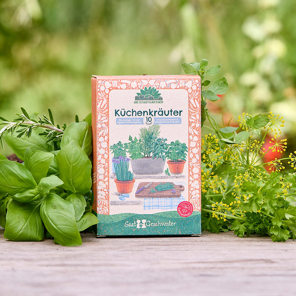 Packung mit Küchenkräutersamen zwischen frischen Kräutern im Garten.