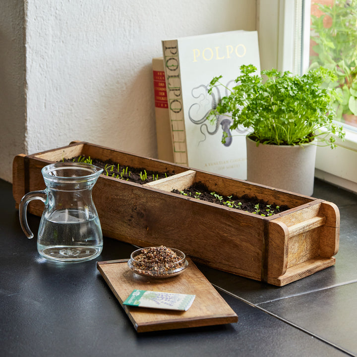 Holzkasten mit Kräuterkeimlingen auf einer Fensterbank, daneben ein Glas Wasser, ein Topf mit frischer Petersilie, ein Kochbuch und eine Schale mit Samen.