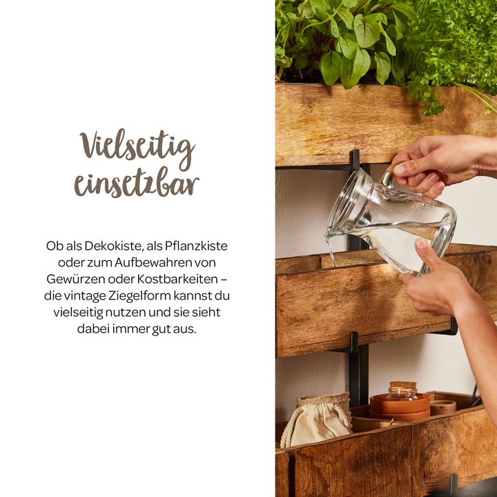 Hände gießen mit einer Wasserkaraffe Pflanzen in einer Holz-Pflanzkiste an einer Wand, daneben Text über die vielseitige Verwendbarkeit der Kiste.