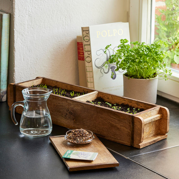 Holz-Kräuterbeet mit jungen Pflänzchen auf einer Fensterbank, daneben eine Glaskanne mit Wasser, ein kleiner Behälter mit Samen, ein Buch und ein Topf mit frischen Kräutern.