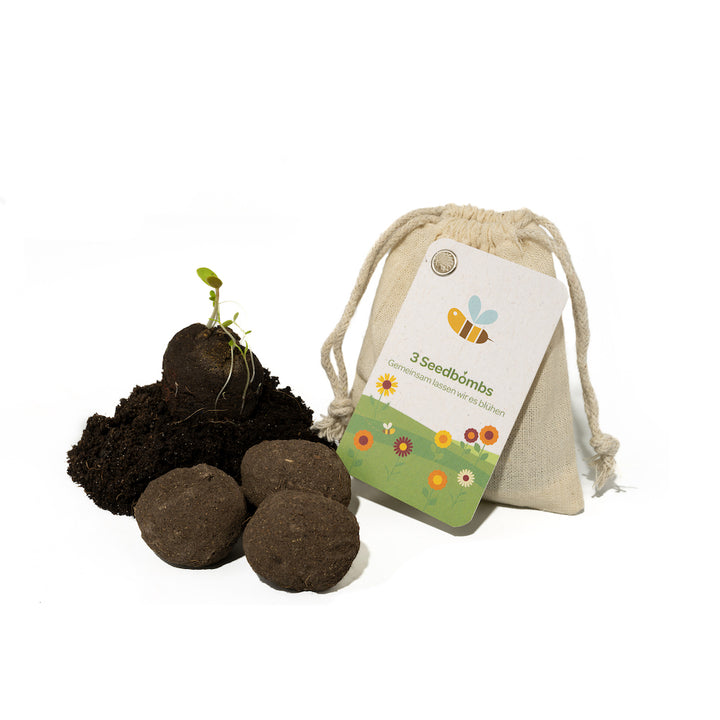 Samenbomben mit Pflanzenerde und einer keimenden Pflanze neben einem Beutel mit der Aufschrift "3 Seedbombs - Gemeinsam lassen wir es blühen".