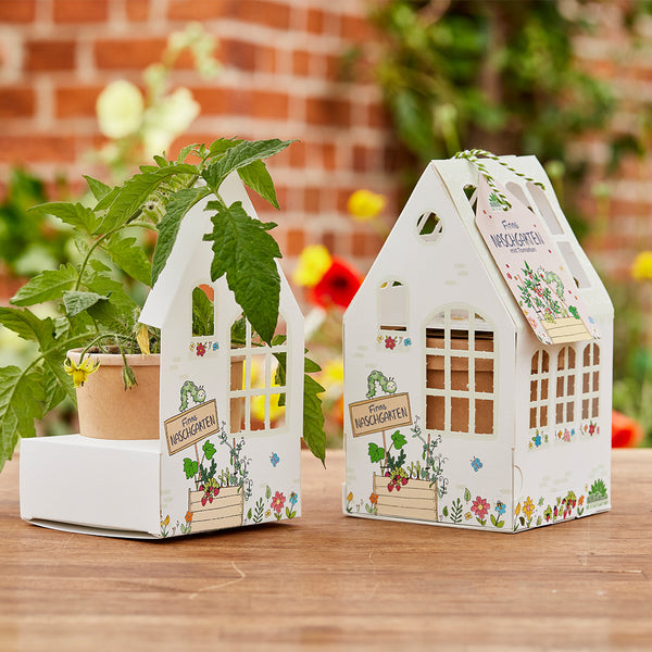 Zwei kleine, hausförmige Verpackungen mit der Aufschrift "Finns Naschgarten", eine davon enthält eine Pflanze im Topf, im Hintergrund unscharfe Blumen und eine Backsteinmauer.