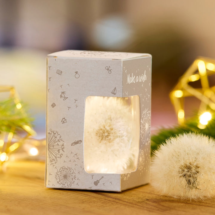 Verpackung mit einem Löwenzahn-Pusteblume hinter durchsichtigem Fenster, daneben eine weitere Pusteblume, im Hintergrund Lichter und Dekoration.