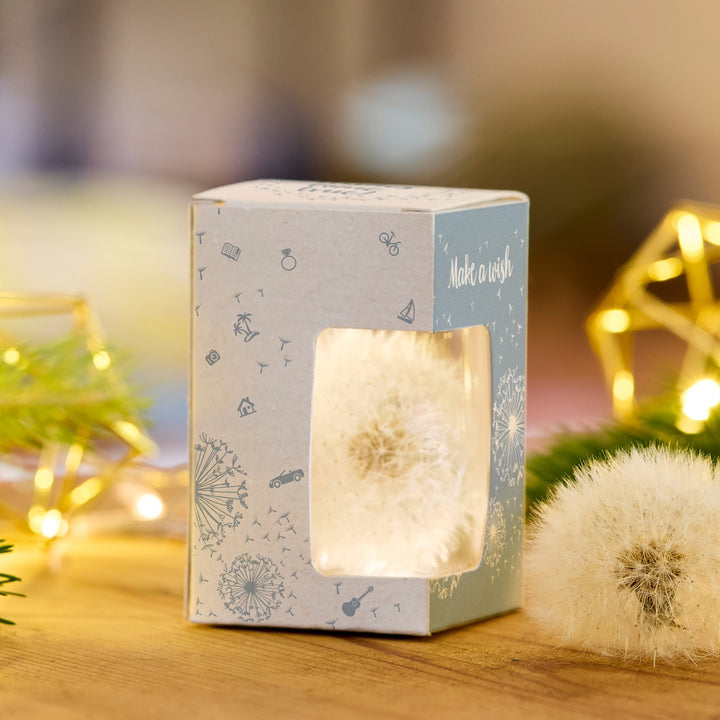 Löwenzahnpusteblume in dekorativer Geschenkbox mit der Aufschrift "Make a wish" auf einem Holztisch, im Hintergrund Lichter und Dekoration.