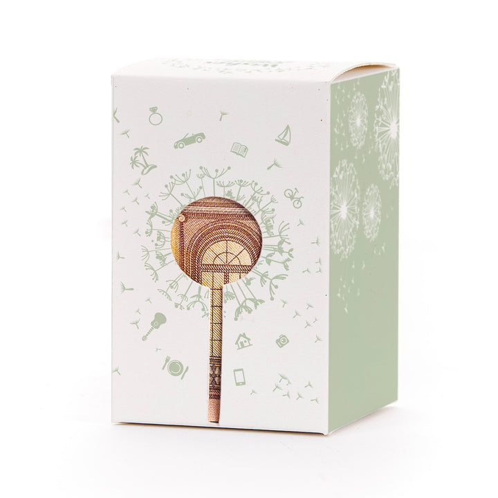 Geschenkbox mit Löwenzahnmotiv und Geldschein in Form eines Lollis als Dekoration.