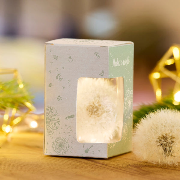 Eine Pusteblume in einer Geschenkbox mit Sichtfenster und der Aufschrift "Make a wish" auf einer Holzoberfläche, im Hintergrund Lichterdekoration.