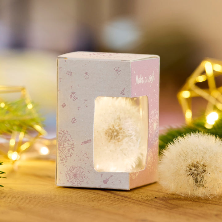 Verpackte Pusteblume in einer dekorativen Geschenkbox mit Sichtfenster, daneben eine einzelne Pusteblume, Hintergrund mit Lichtern und grünen Dekoelementen.