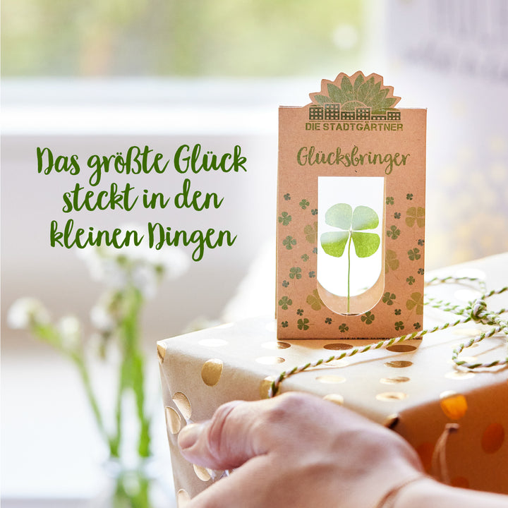 Das größte Glück steckt in den kleinen Dingen