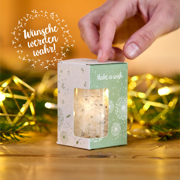 Hand hält eine Geschenkbox mit Löwenzahnschirmchen und der Aufschrift "Make a wish", im Hintergrund Lichter und Tannenzweige, daneben der Schriftzug "Wünsche werden wahr!".