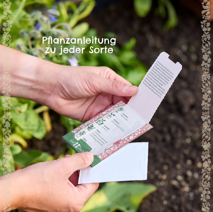 Zwei Hände halten eine geöffnete Samenverpackung mit Pflanzanleitung, im Hintergrund ein Gartenbeet mit grünen Pflanzen.