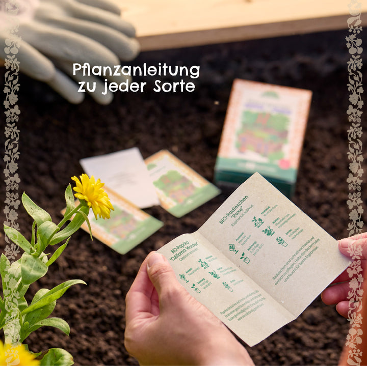 Hände halten eine Pflanzanleitung über einem Beet, daneben eine gelbe Blume, Gartenhandschuhe und Samentütchen im Hintergrund.