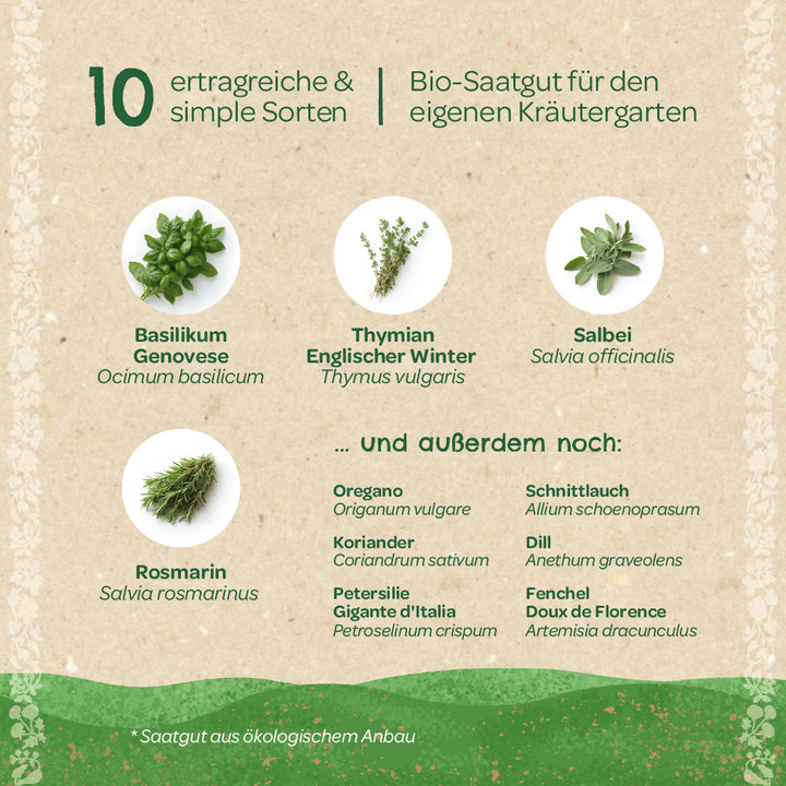 Grafik mit zehn einfachen und ertragreichen Kräutersorten aus Bio-Saatgut, darunter Basilikum, Thymian, Salbei und Rosmarin, sowie weitere aufgelistete Kräuter wie Oregano, Koriander und Schnittlauch.