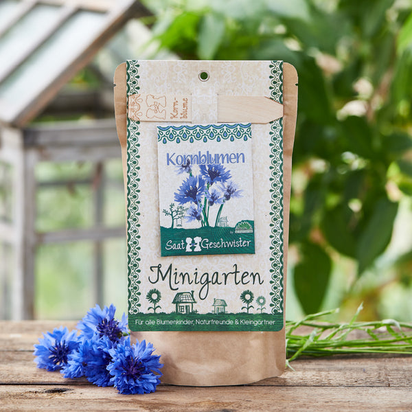 Packung mit Kornblumensamen auf einem Holztisch mit blühenden Kornblumen im Vordergrund und einem Gewächshaus im Hintergrund"