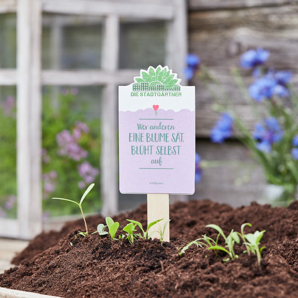 Pflanzenschild im Erdboden mit Spruch "Wer anderen eine Blume sät, blüht selbst auf" vor unscharfem Hintergrund mit Fenster und blauen Blumen.