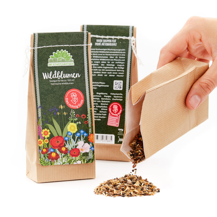 Verpackung für Wildblumen-Saatgut wird geöffnet und Samen werden ausgeleert.
