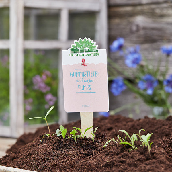 Schild mit der Aufschrift „Gummistiefel sind meine Pumps“ steckt in einem Beet mit jungen Pflanzen; unscharfer Hintergrund mit Blumen.